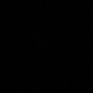 Meet your Posher, Mya